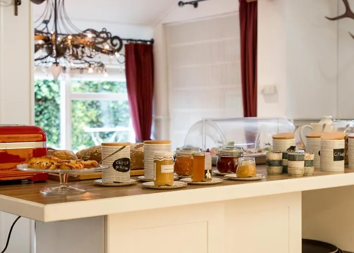 호텔 Hotel-restaurant De Boer'nkinkel 3*